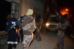 Ảnh minh họa. (Nguồn: TTXVN)