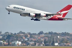 Máy bay Airbus A380 của hãng hàng không Qantas. (Nguồn: AFP/TTXVN) 