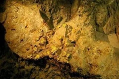 Ảnh minh họa. (Nguồn: Sina)