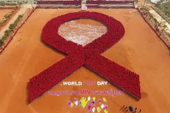 Xếp hình ruybăng đỏ nhân Ngày Thế giới phòng, chống HIV/AIDS tại Bhubaneswar, Ấn Độ. (Nguồn: AFP/TTXVN) 