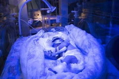 (Nguồn: Dailymail)