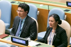 Đại sứ Nguyễn Phương Nga (phải). (Ảnh: Lê Dương/TTXVN)