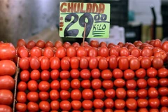 Cà chua được bày bán tại chợ ở Mexico City, Mexico, ngày 14/1/2019. (Nguồn: AFP/TTXVN) 
