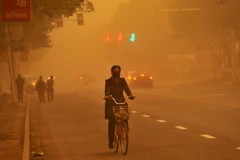 Cát bụi mù mịt trên đường phố ở Trung Quốc trong một trận bão cát. (Nguồn: THX/TTXVN)