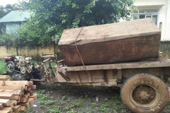 Gỗ và phương tiện vận chuyển bị thu giữ tại đồn Công an Quảng Sơn. (Ảnh: Ngọc Minh/TTXVN)