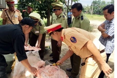 Lực lượng chức năng kiểm tra số thịt vừa bị tịch thu. (Ảnh: Phan Quân/TTXVN)