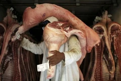 Ảnh minh họa. (Nguồn: Reuters)