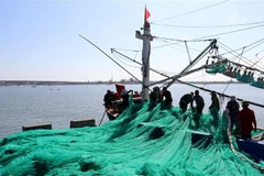 [Video] Ngư dân Quảng Ngãi ra khơi bám biển trên vùng biển chủ quyền