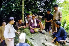 Đợt phim kỷ niệm 70 năm Cách mạng tháng Tám, Quốc khánh 2/9 