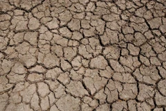 Ảnh minh họa. (Nguồn: foxnews.com)