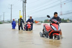 Người dân xã Phước Nam huyện Thuận Nam (Ninh Thuận) di dời đến nơi an toàn. (Ảnh: Minh Đức/TTXVN)