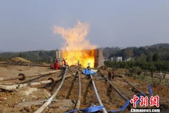 (Nguồn: Chinanews.com) 