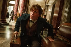 Scamander trong 'Fantastic Beasts and Where to Find Them."(Nguồn: theguardian.com)