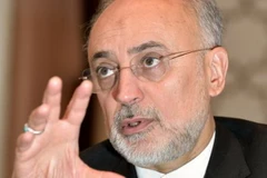 Giám đốc Cơ quan Năng lượng Nguyên tử Iran Ali Akbar Salehi. (Nguồn: Kyodo/TTXVN)