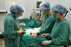 (Ảnh minh họa: Dương Ngọc/TTXVN)