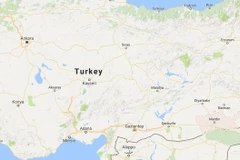 (Nguồn: mirror.co.uk)