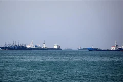 Các tàu chở hàng đi qua vùng Vịnh. (Nguồn: AFP/TTXVN) 