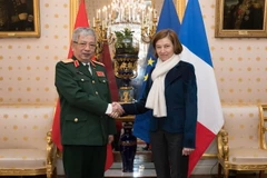 Thượng tướng Nguyễn Chí Vịnh đã hội kiến với bà Florence Parly, Bộ trưởng Bộ Quốc phòng Pháp. (Ảnh: Tiến Nhất/TTXVN)