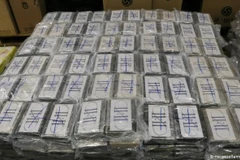 Ảnh minh họa. (Nguồn: dw.com) 