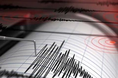 Ảnh minh họa. (Nguồn: Egypt Today) 