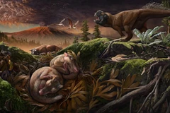 Ảnh minh họa. (Nguồn: theatlantic.com) 