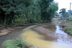 (Ảnh minh họa: Minh Tâm/TTXVN) 