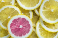 Ảnh minh họa. (Nguồn: Honest Businessman) 