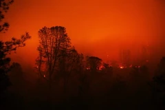 (Ảnh minh họa: THX/TTXVN) 