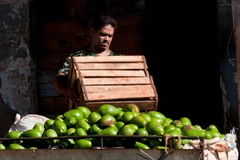 Chính phủ Cuba thảo luận các chương trình phát triển kinh tế