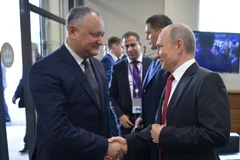 Tổng thống Nga Vladimir Putin (phải) và Tổng thống Moldova Igor Dodon (trái) tại một sự kiện ở St. Petersburg, Nga ngày 2/6. (Nguồn: EPA/TTXVN)