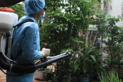 Phun thuốc diệt muỗi. (Ảnh: Phương Vy/TTXVN)
