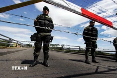 Ảnh minh họa. (Nguồn: TTXVN)