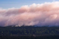 Ảnh minh họa. (Nguồn: faz.net) 