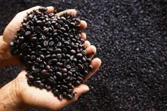 Ảnh minh họa. (Nguồn: Reuters)