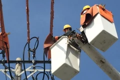 (Ảnh minh họa: Thành Chung/TTXVN) 