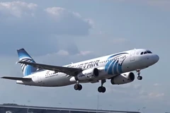 Máy bay Airbus A320 của Hãng EgyptAir. (Nguồn: Business Insider) 