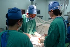 (Ảnh minh họa: Thanh Thương/TTXVN)