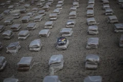 (Nguồn: THX/TTXVN)