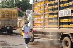 Xuất hiện chủng virus cúm gia cầm mới ở Đồng Nai