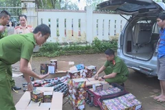 Số pháo bị lực lượng chức năng thu giữ. (Nguồn: TTXVN) 