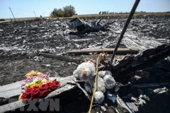 Những mảnh vỡ của chiếc máy bay xấu số MH17 ngày 19/7/2014. (Nguồn: AFP/TTXVN)