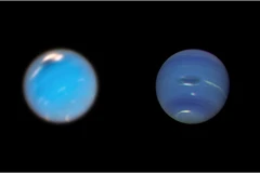 Ở bên phải, có thể thấy hình ảnh trên tàu Vũ trụ voyager 2 về khởi nguồn cơn bão Great Dark Spot. Ở bên trái, nếu xem bằng kính viễn vọng Hubble, một cơn bão mới được hình thành tại vị trí trên cùng của bức ảnh kèm theo một vài đám mây trắng sáng. (Nguồn: