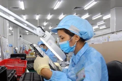 Công nhân làm việc tại Công ty Trách nhiệm hữu hạn Young Poong Electronics VINA, vốn đầu tư của Hàn Quốc. (Ảnh: Danh Lam/TTXVN) 
