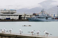 ​Các lực lượng của hai nước đã phối hợp cùng nhau để mô phỏng việc điều hướng an toàn các tàu ra khỏi một bãi mìn hải quân. (Nguồn: TASS) 