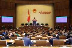 Quốc hội biểu quyết thông qua toàn văn Luật tổ chức cơ quan điều tra hình sự. (Ảnh: Phương Hoa/TTXVN)