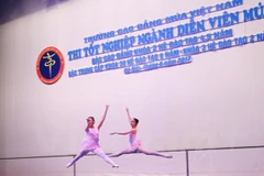 (Ảnh minh họa: TTXVN)