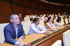 Các đại biểu Quốc hội biểu quyết thông qua Chủ nhiệm một số Ủy ban của Quốc hội, Tổng Thư ký Quốc hội và Tổng kiểm toán Nhà nước. Ảnh: TTXVN)