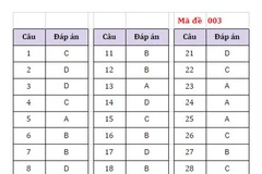 Gợi ý đáp án đề thi môn Lịch sử. (Ảnh: PV)