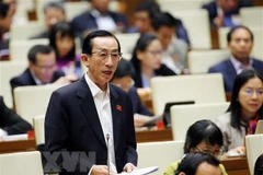 Đại biểu Quốc hội Trần Hoàng Ngân, đoàn đại biểu Thành phố Hồ Chí Minh phát biểu. (Ảnh: Dương Giang/TTXVN)