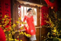 Bộ áo dài cách tân mang hương vị ngày Tết với hai sắc màu chủ đạo đỏ và vàng. (Ảnh: Lê Thiện Viễn)